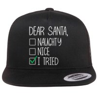 Dear Santa Nice Naughty I Tried Christmas List Xmas Santa Flat Bill Trucker Hat