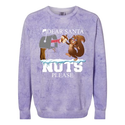 Dear Santa Nuts Please Christmas Squirrel Gift Colorblast Crewneck Sweatshirt