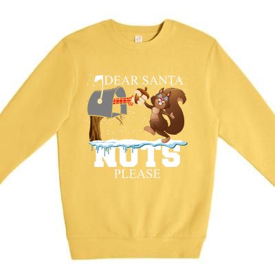 Dear Santa Nuts Please Christmas Squirrel Gift Premium Crewneck Sweatshirt