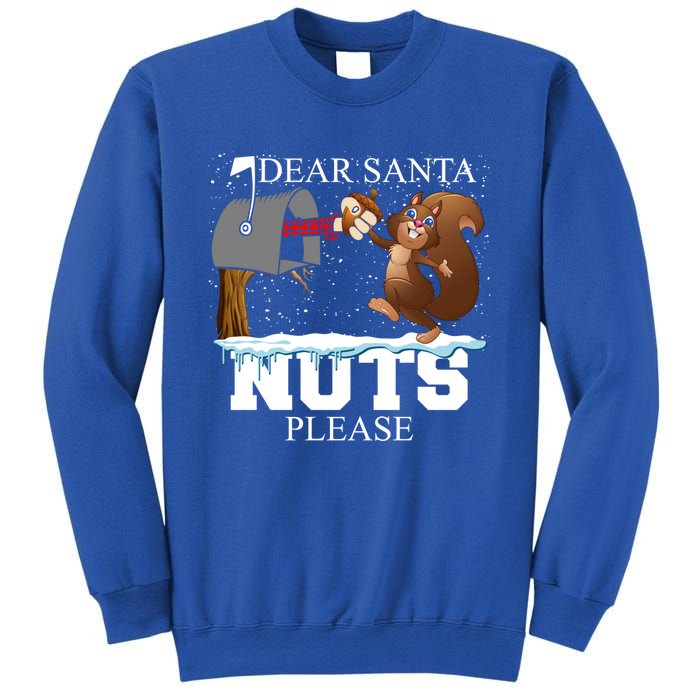 Dear Santa Nuts Please Christmas Squirrel Gift Sweatshirt