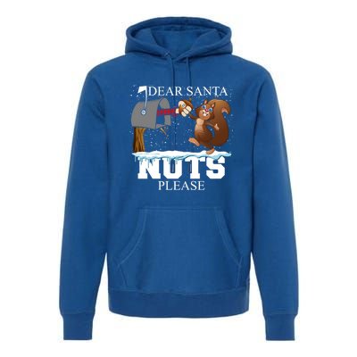 Dear Santa Nuts Please Christmas Squirrel Gift Premium Hoodie