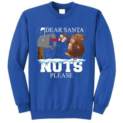 Dear Santa Nuts Please Christmas Squirrel Gift Tall Sweatshirt