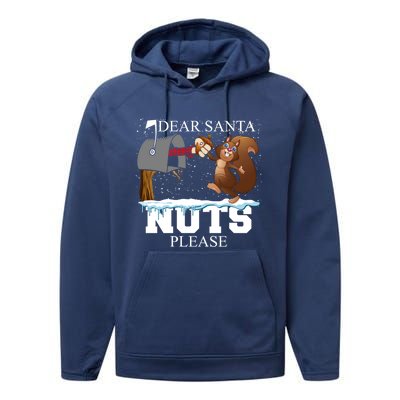 Dear Santa Nuts Please Christmas Squirrel Gift Performance Fleece Hoodie