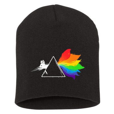 Dark Side Of The Kitsune Short Acrylic Beanie