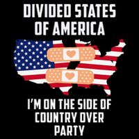Divided States Of America Patriotic Love Country Over Party Mug