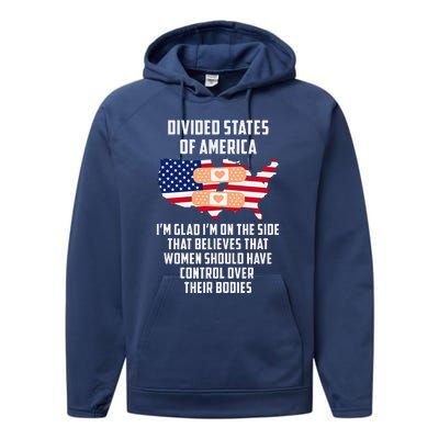 Divided States Of America Performance Fleece Hoodie