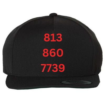 Double Sized Patriot Cleanup Design Wool Snapback Cap