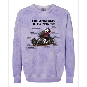 Dirttrack Sprintcars Racing Anatomy Lover Gift Gift Colorblast Crewneck Sweatshirt