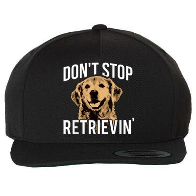 DonT Stop Retrieving Funny Golden Retriever Owner Wool Snapback Cap