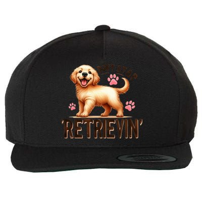 DonT Stop Retrieving Funny Golden Retriever Owner Wool Snapback Cap