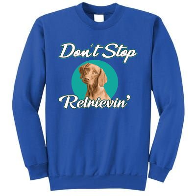 Dont Stop Retrievin Tee Gift Pet Lover Cute Gift Tall Sweatshirt