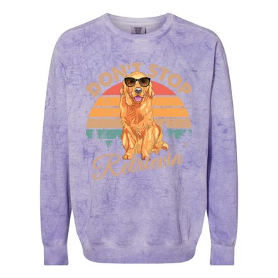 Dont Stop Retrievin Retro Golden Retriever Gift Colorblast Crewneck Sweatshirt