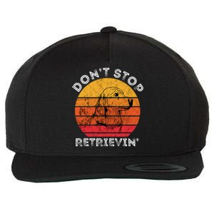 DonT Stop Retrieving Funny Golden Retriever Dog Owner Wool Snapback Cap