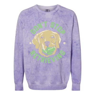 Dont Stop Retrieving Gift Retro Golden Retriever Funny Gift Colorblast Crewneck Sweatshirt