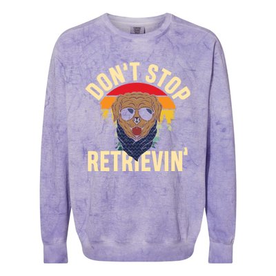 Dont Stop Retrievin Retriever Labrador Owner Gift Colorblast Crewneck Sweatshirt