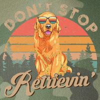 Don't Stop Retrieving Retro Golden Retriever Legacy Tie Dye Trucker Hat
