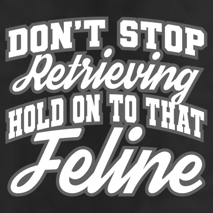 Dont Stop Retrieving Hold On To That Feline Cute Gift Garment-Dyed Fleece Hoodie
