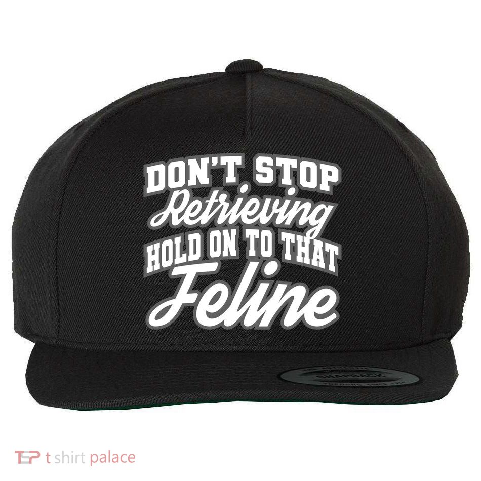 Dont Stop Retrieving Hold On To That Feline Cute Gift Wool Snapback Cap