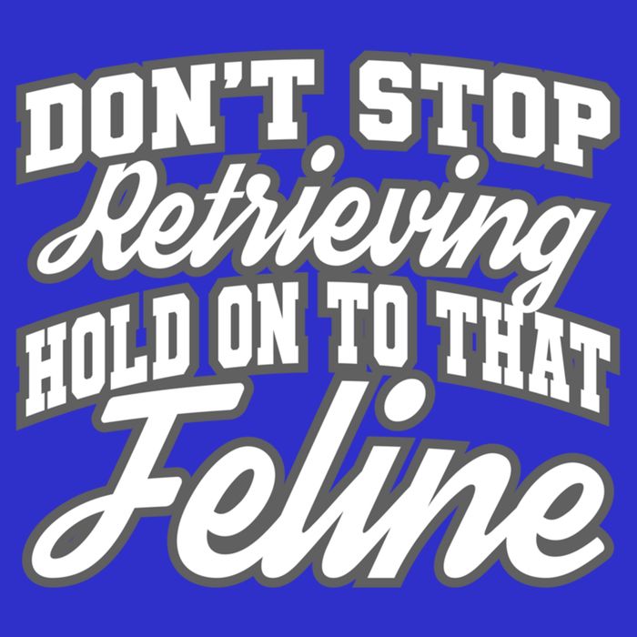Dont Stop Retrieving Hold On To That Feline Cute Gift Womens Tank Top