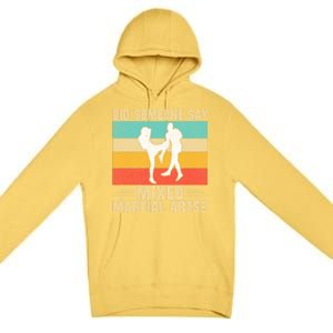 Did Someone Say Mixed Martial Arts Gift Premium Pullover Hoodie