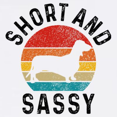 Dachshund Short & Sassy Wiener Dog Doxie Mom Funny Cute Gift T-Shirt