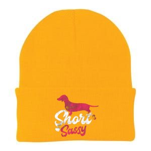 Dachshund Short Sassy Weiner Dog Puppy Pet Knit Cap Winter Beanie