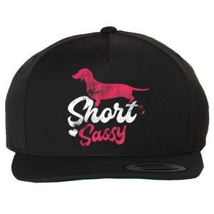 Dachshund Short Sassy Weiner Dog Puppy Pet Wool Snapback Cap