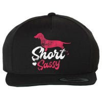 Dachshund Short Sassy Weiner Dog Puppy Pet Wool Snapback Cap