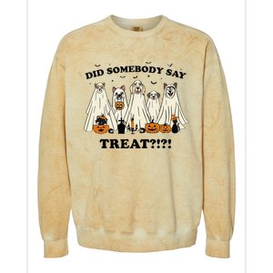 Did Somebody Say Treat Ghost Dogs Lovers Halloween Costume Colorblast Crewneck Sweatshirt