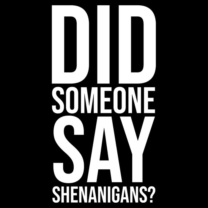 Did Someone Say Shenanigans Funny St Patricks Day Flatbill Hat