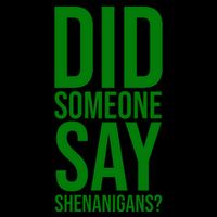 Did Someone Say Shenanigans Funny St Patricks Day 16oz Travel Tumbler