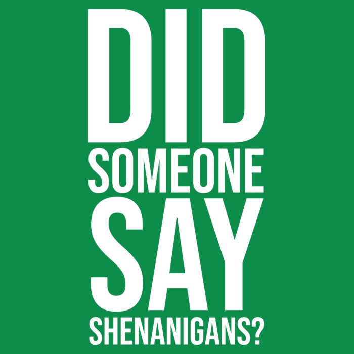 Did Someone Say Shenanigans Funny St Patricks Day Magnet