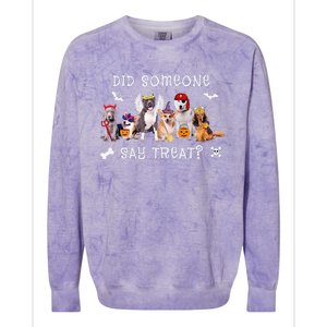 Did Someone Say Treat Funny Dog Halloween Colorblast Crewneck Sweatshirt