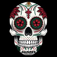 Daniel SuáRez Skull 99 16oz Travel Tumbler