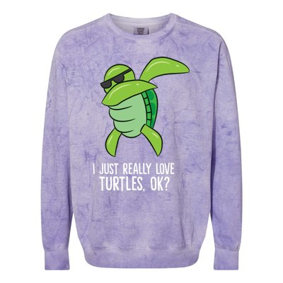 Dabbing Sea Turtle I Just Really Love Turtles Ok? Colorblast Crewneck Sweatshirt