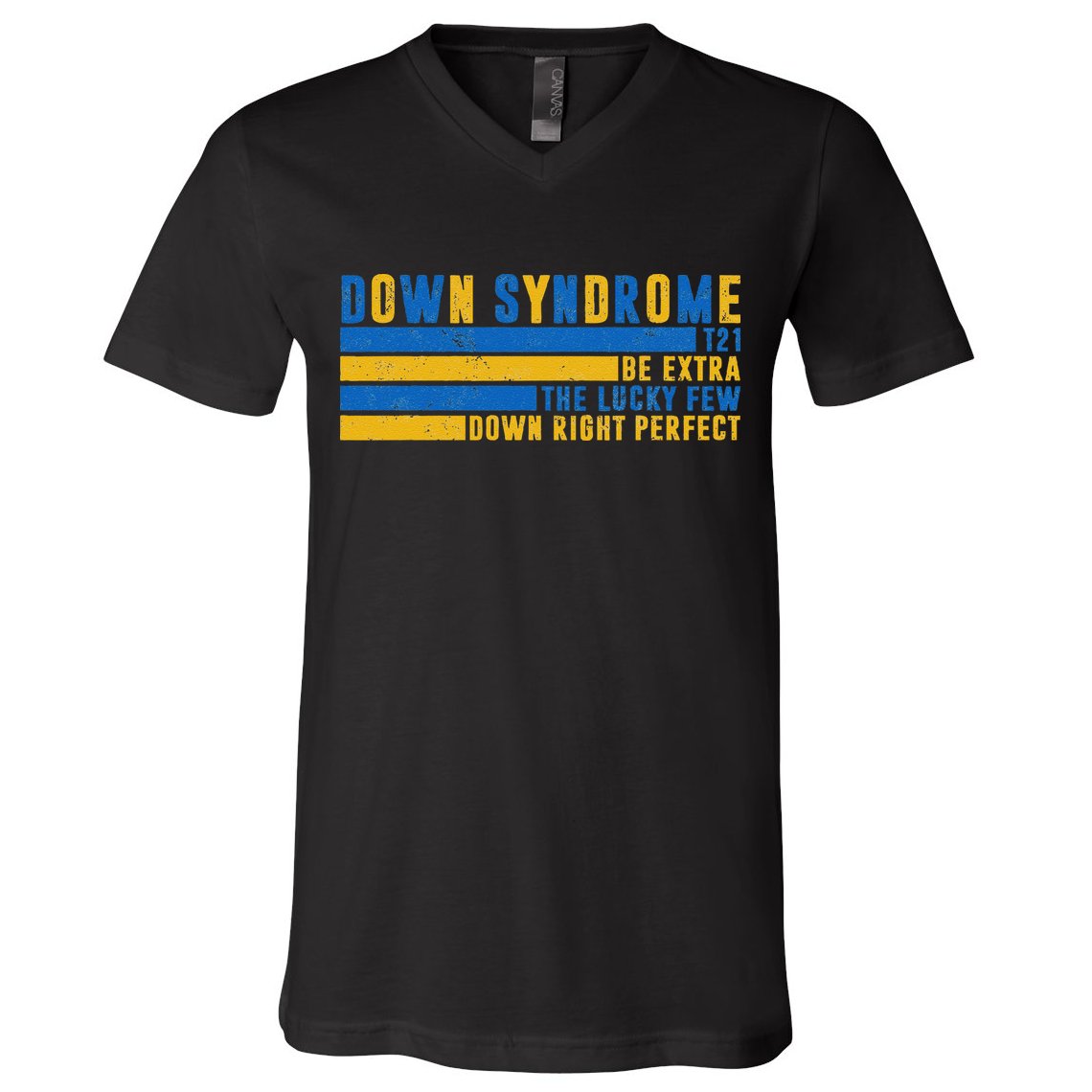 Down Syndrome T21 Be Extra The Lucky Few Down Right Perfect V-Neck T-Shirt