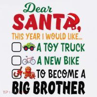 Dear Santa This Year I Would Like To Become A Big Brother Premium T-Shirt
