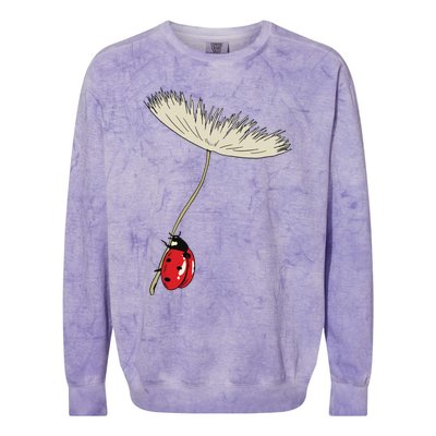 Dandelion Seeds With Ladybug Gift For Yellow Flowers Friends Colorblast Crewneck Sweatshirt