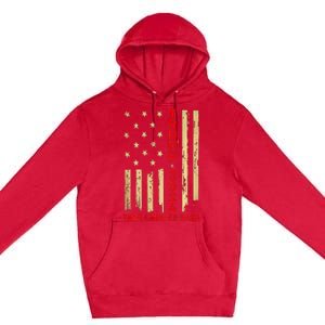 Donald Trump 2024 Take America Back American Flag Premium Pullover Hoodie