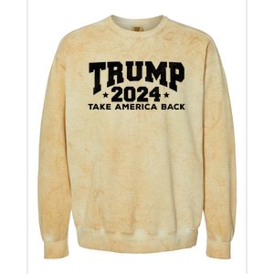 Donald Trump 2024 Take America Back Colorblast Crewneck Sweatshirt