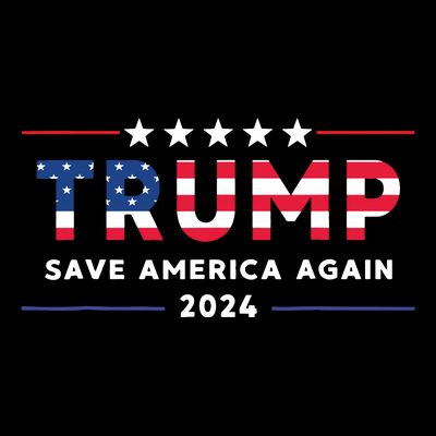 Donald Trump 2024 Take America Back Election The Return T-Shirt