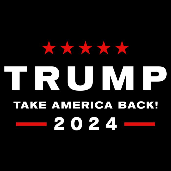 Donald Trump 2024 Take America Back Election The Return Sweatshirt