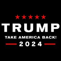 Donald Trump 2024 Take America Back Election The Return Womens T-Shirt