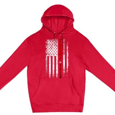 Donald Trump 2024 Take America Back American Flag Patriotic Premium Pullover Hoodie