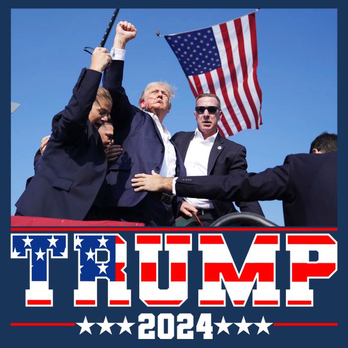 Donald Trump 2024 Survived Shot At Election Rally Usa Poster
