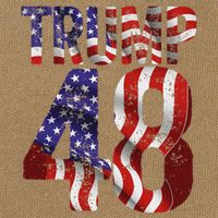 Donald Trump 2028 Trump 45 47 48th President Cotton Canvas Backpack
