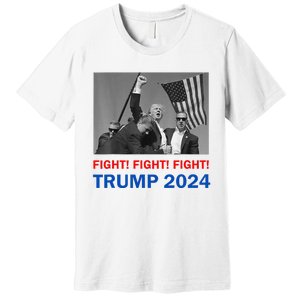 Donald Trump 2024 Fight Fight Fight Donald Trump Fist Pump Premium T-Shirt