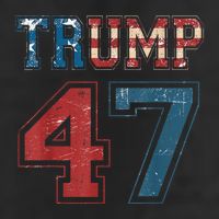 Donald Trump 2025 Inauguration Day Fan 7 Panel Mesh Trucker Snapback Hat