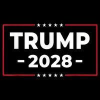 Donald Trump 2028 President American Flag Pro Trump Vintage Poster