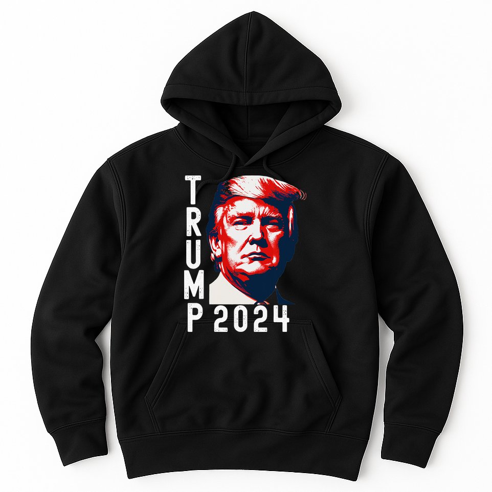 Donald Trump 2024 Take America Back Election 2024 Hoodie